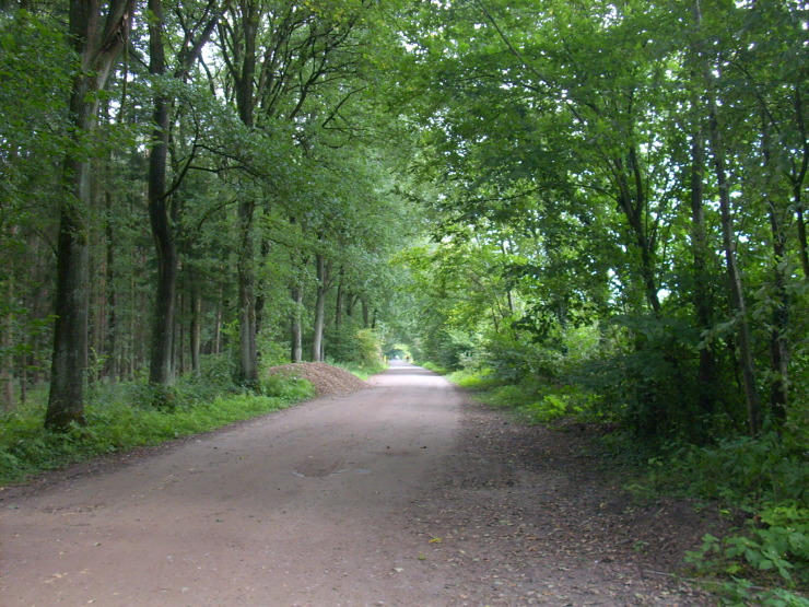 2008